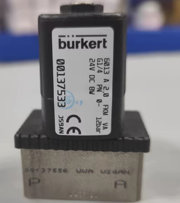 Burkert Original Genuine Product 6013series 00137537/00134233/00136018/00137533 Two-way Plunger Valve