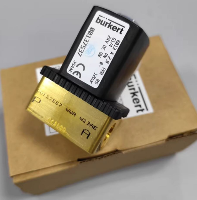 Burkert Original Genuine Product 6013series 00137537/00134233/00136018/00137533 Two-way Plunger Valve