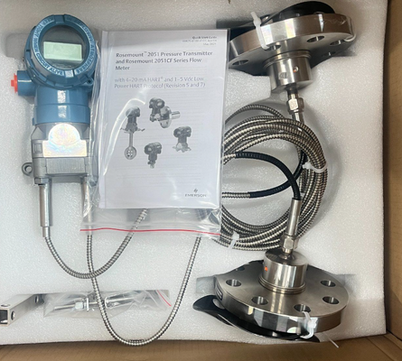 Rosemounte 2051 Pressure Transmitter and 1199 Diaphragm Seal System protects transmitters 